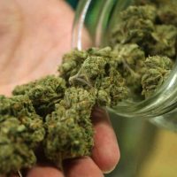 marijuana-dbc04668ba596d1d11bbfdcab899d5bdcf6b293a-s6-c30