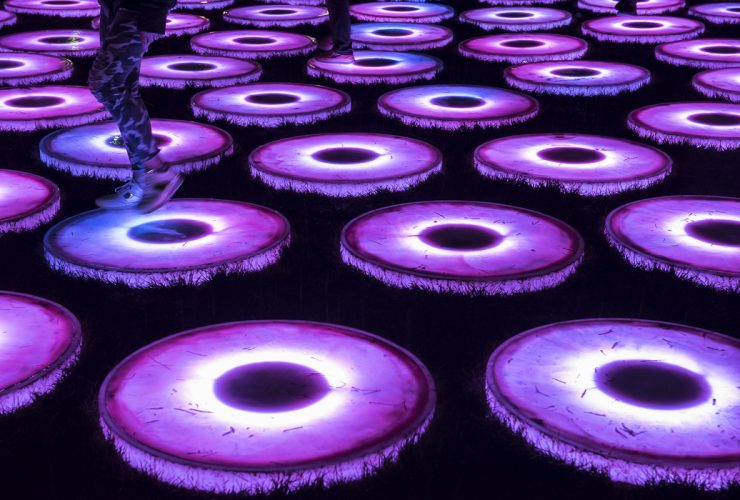 May 2017 Light City Dc 9