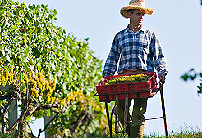 MD_Ron-and-cart-1.jpg#asset:40453:url