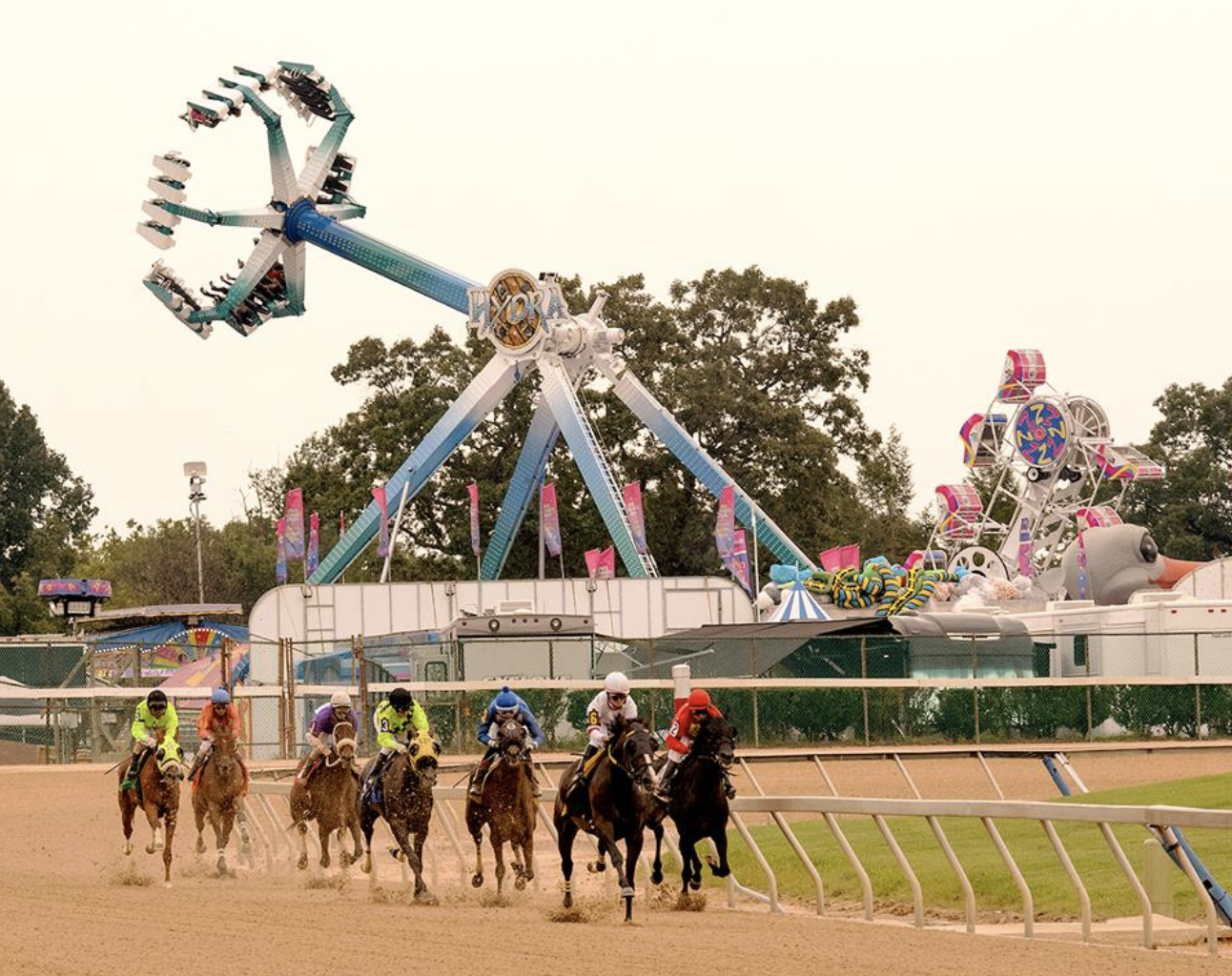 Can’tMiss Attractions at the Maryland State Fair Baltimore Magazine