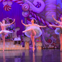 Nutcracker Roundup