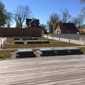 Office Green Roof