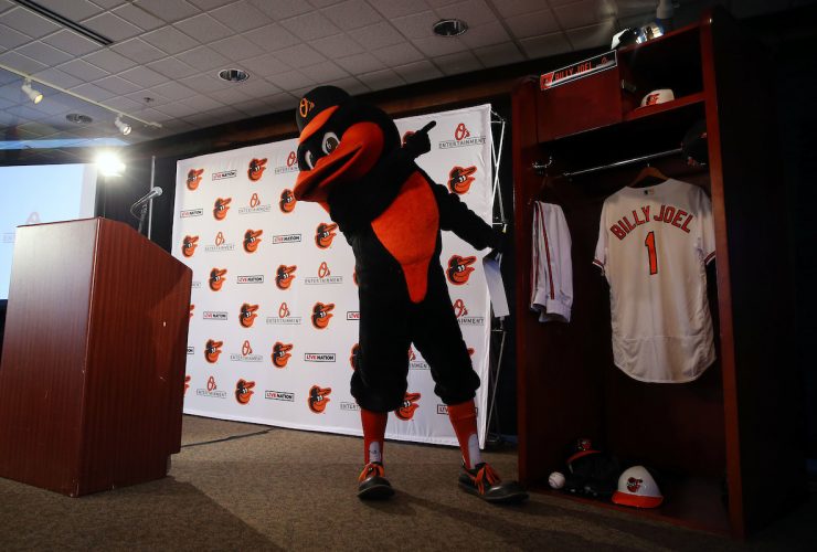 Oriole Bird Billy Joel