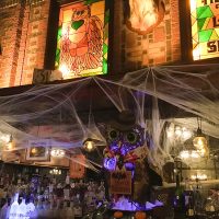 Owl Bar Halloween
