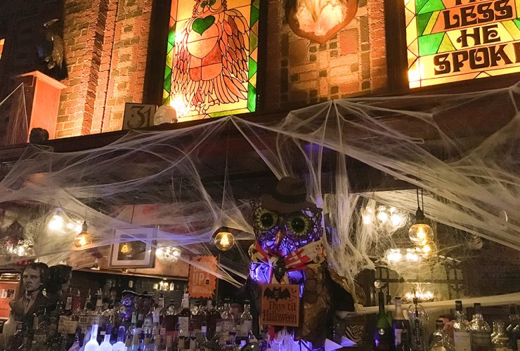 Owl Bar Halloween