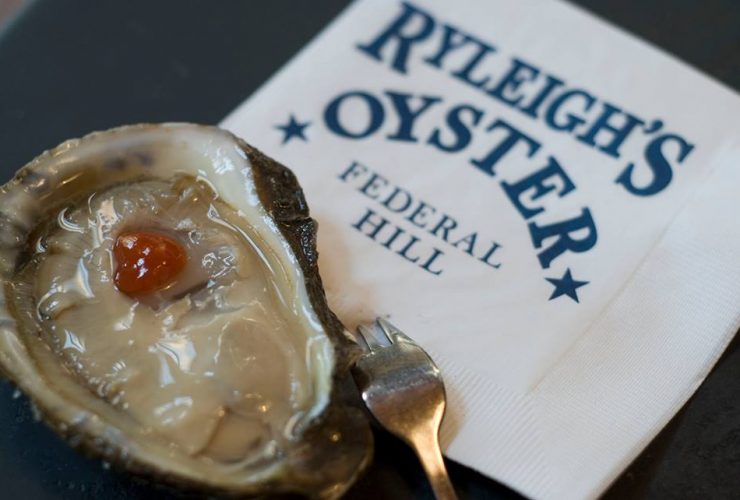 oysters