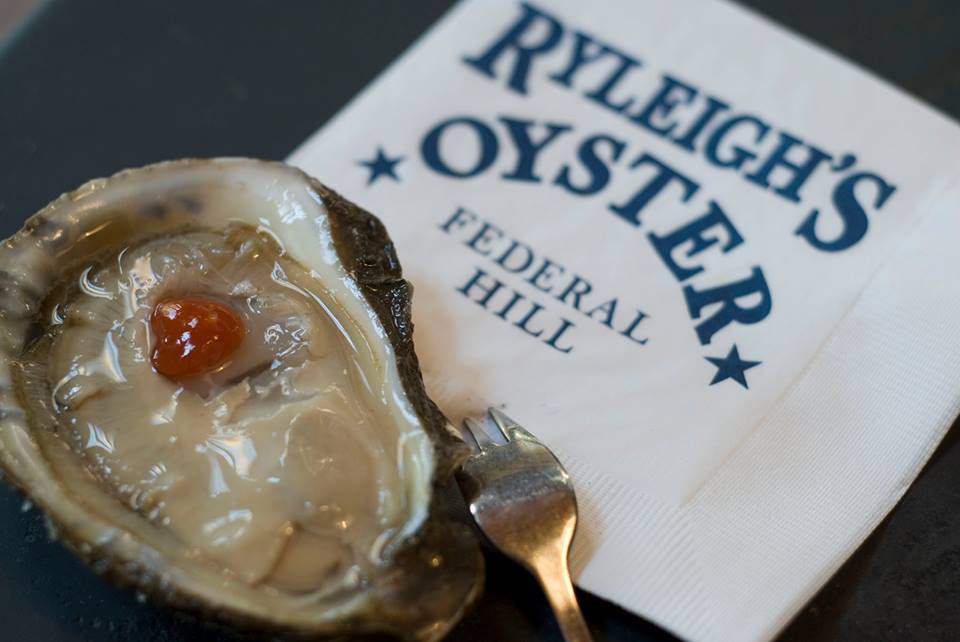 oysters