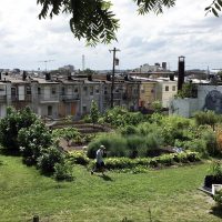 Pigtown Community Garden 720