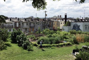 Pigtown Community Garden 720