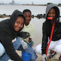 Planting Wetlands 1200X600