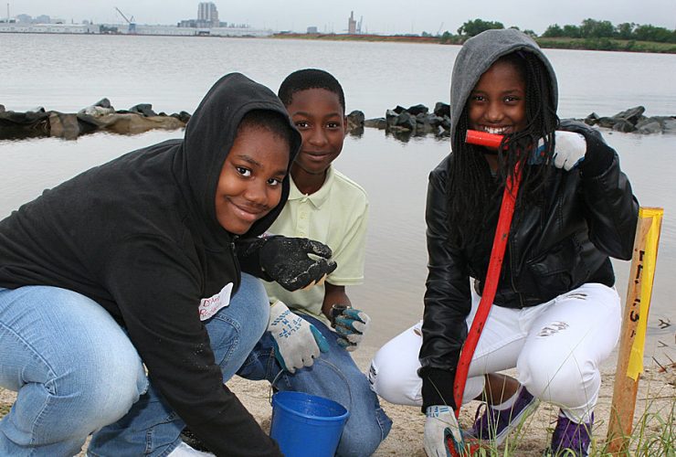 Planting Wetlands 1200X600