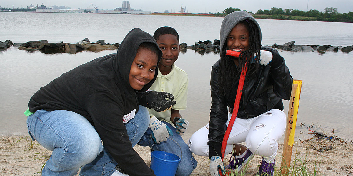 Planting Wetlands 1200X600