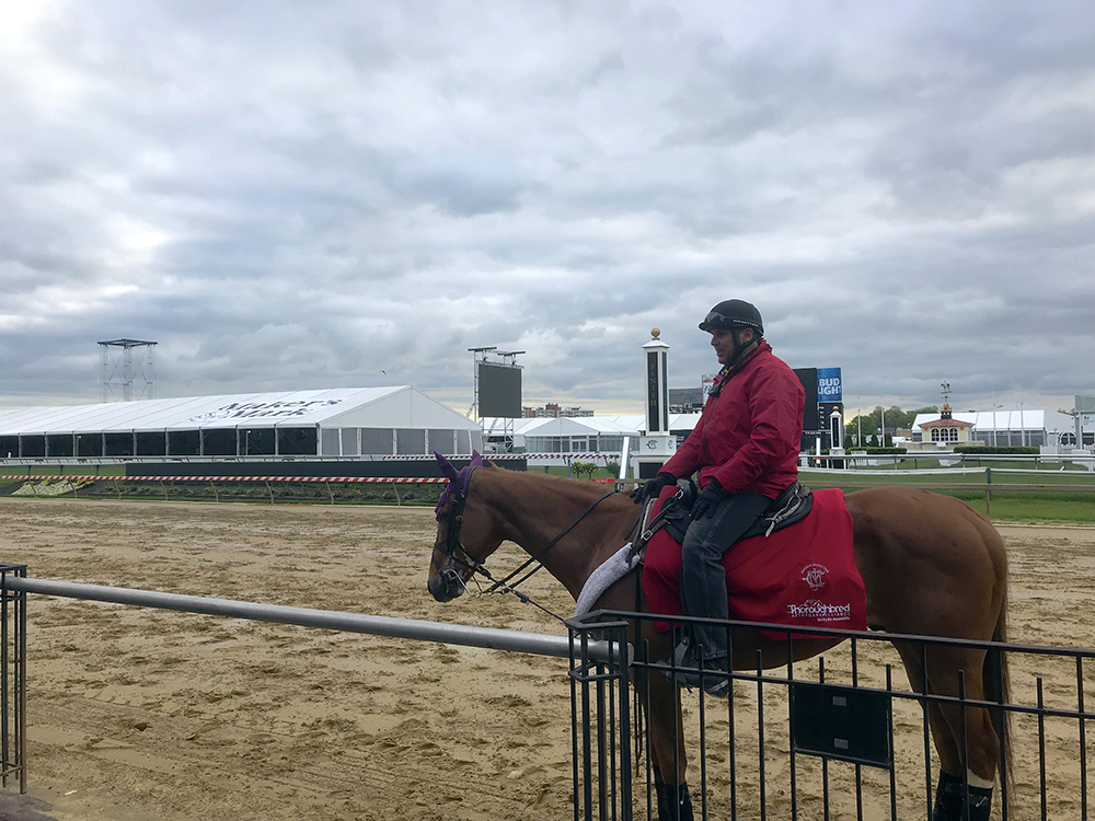 Preakness 19 3