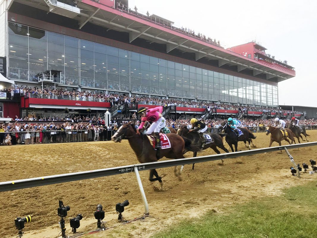 Preakness War Of Will