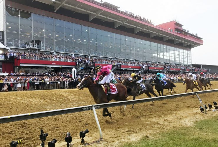 Preakness War Of Will