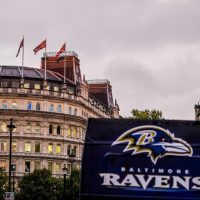 Ravens In London