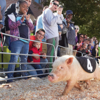 Screen-Shot-2015-06-16-at-10.33.43-AM