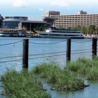 Screen Shot 2016 05 09 At 3 54 00 Pm