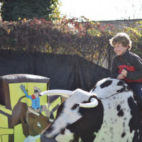 Screen Shot 2018 11 08 At 5 30 38 Pm