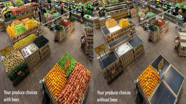 Supermarket Without Bees Supermarket Without Bees