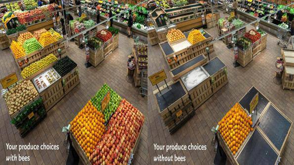 Supermarket Without Bees