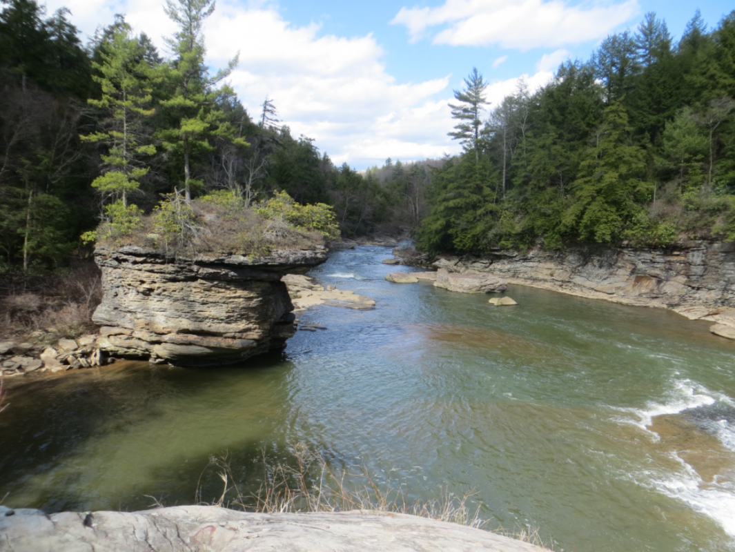 Swallow Falls Hikes