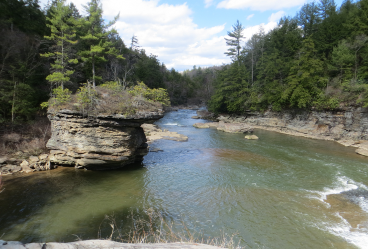 Swallow Falls Hikes