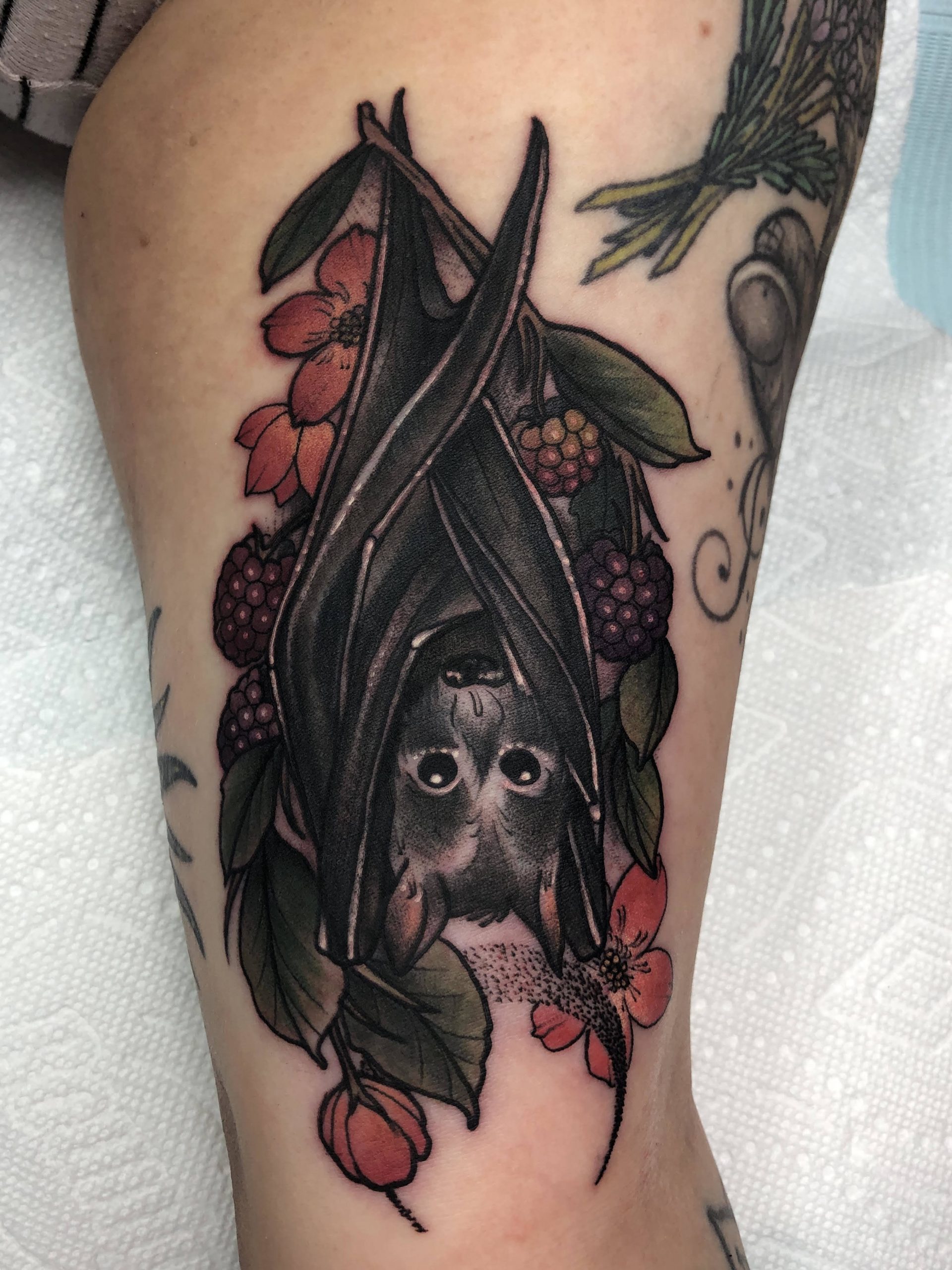 Tattoo -, Tattoo Background on Bat, Traditional Tattoo, HD