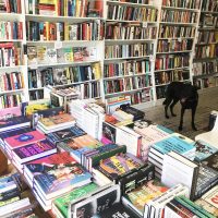 Wl Greedyreads