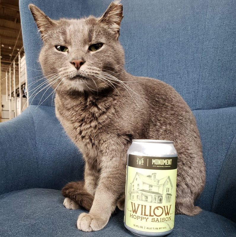 Wl Willow Cat