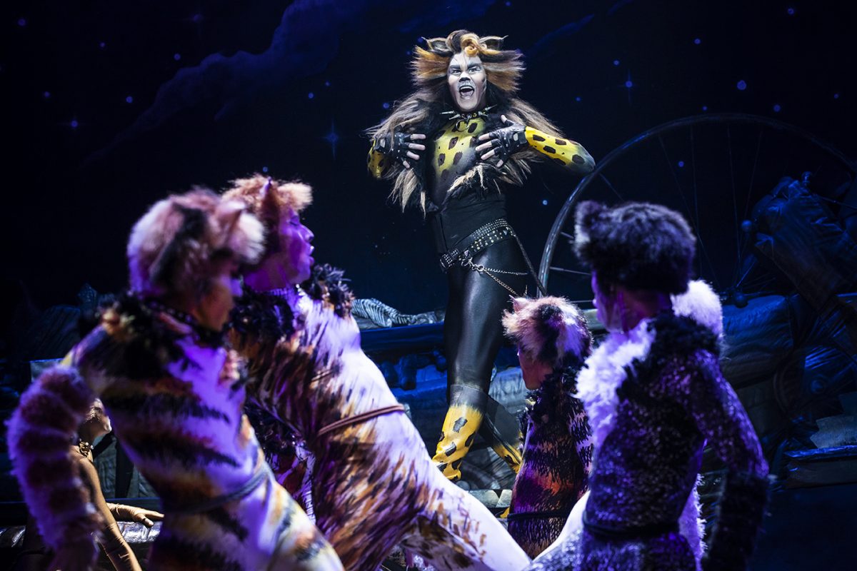 Mc Gee Maddox As Rum Tug Tugger And The North American Tour Company Of Cats Photo By Matthew Murphy 2019 Mc Gee Maddox As Rum Tug Tugger And The North American Tour Company Of Cats Photo By Matthew Murphy 2019