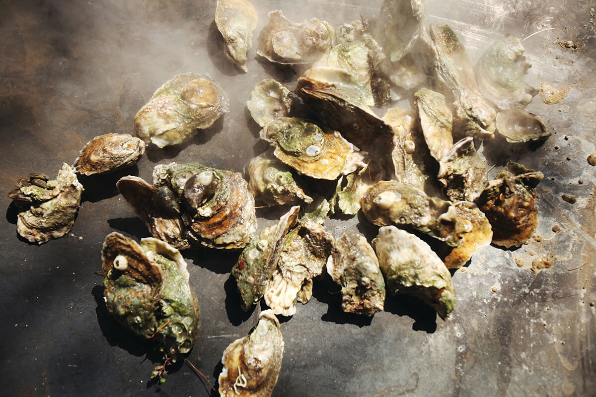 Oysters Getty Images 166649266