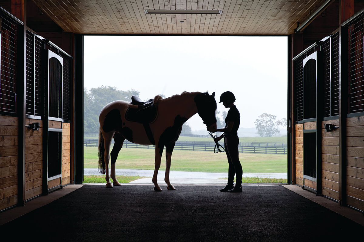 Equestrian-Silhouette_CMYK