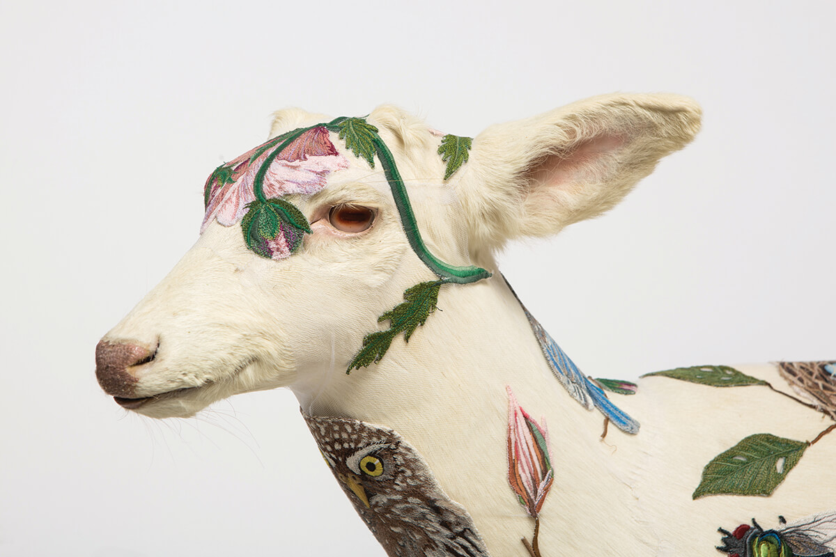 Albino-Deer-head_CMYK
