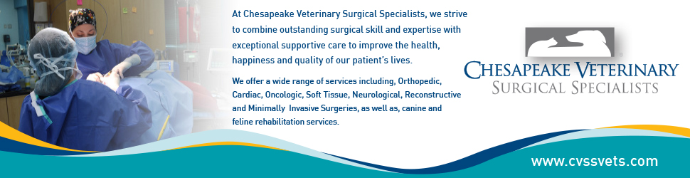 Chesapeake Veterinary Surgical Specialists