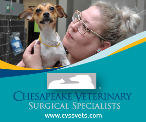 Chesapeake Veterinary Surgical Specialists