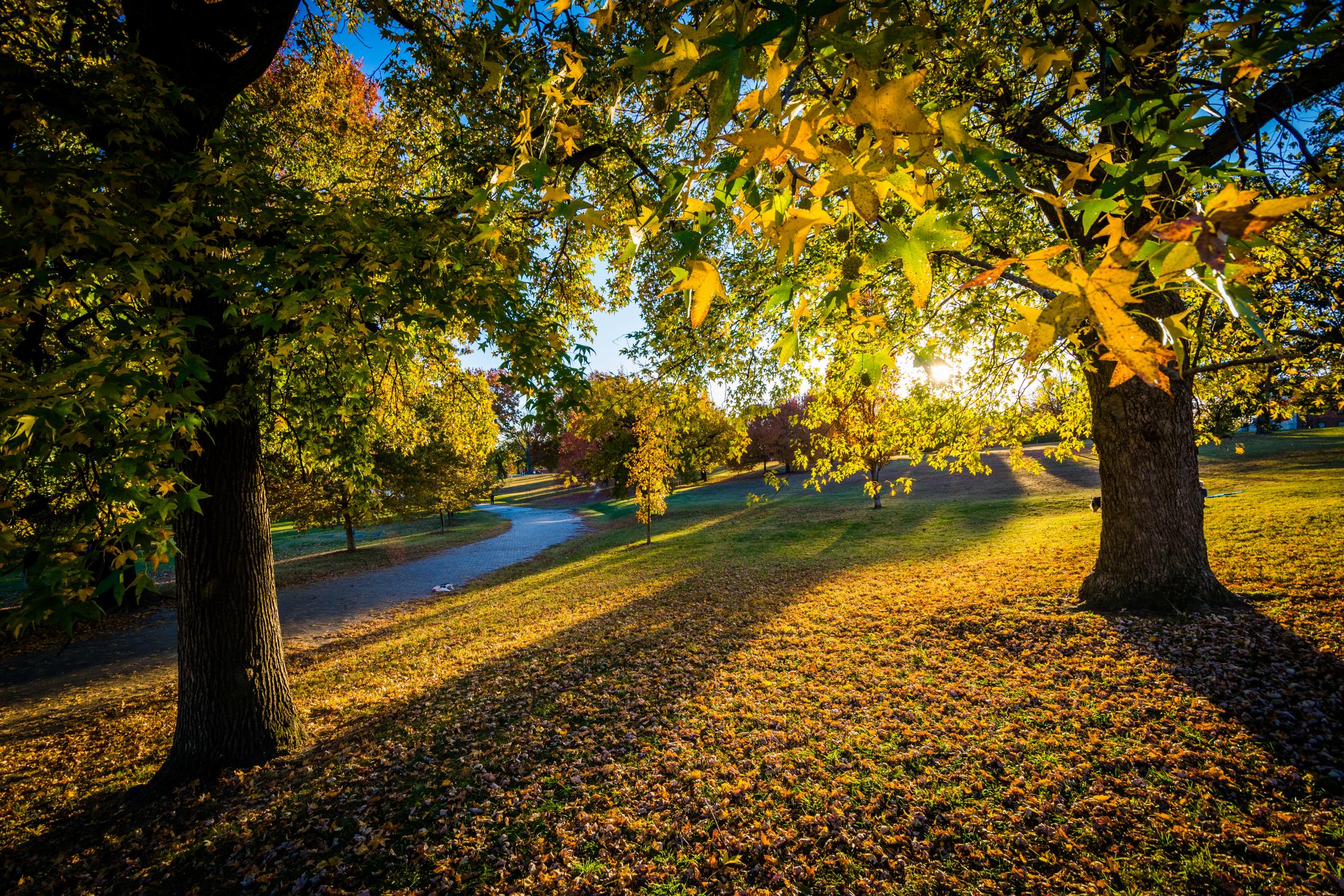 shutterstock_594196472