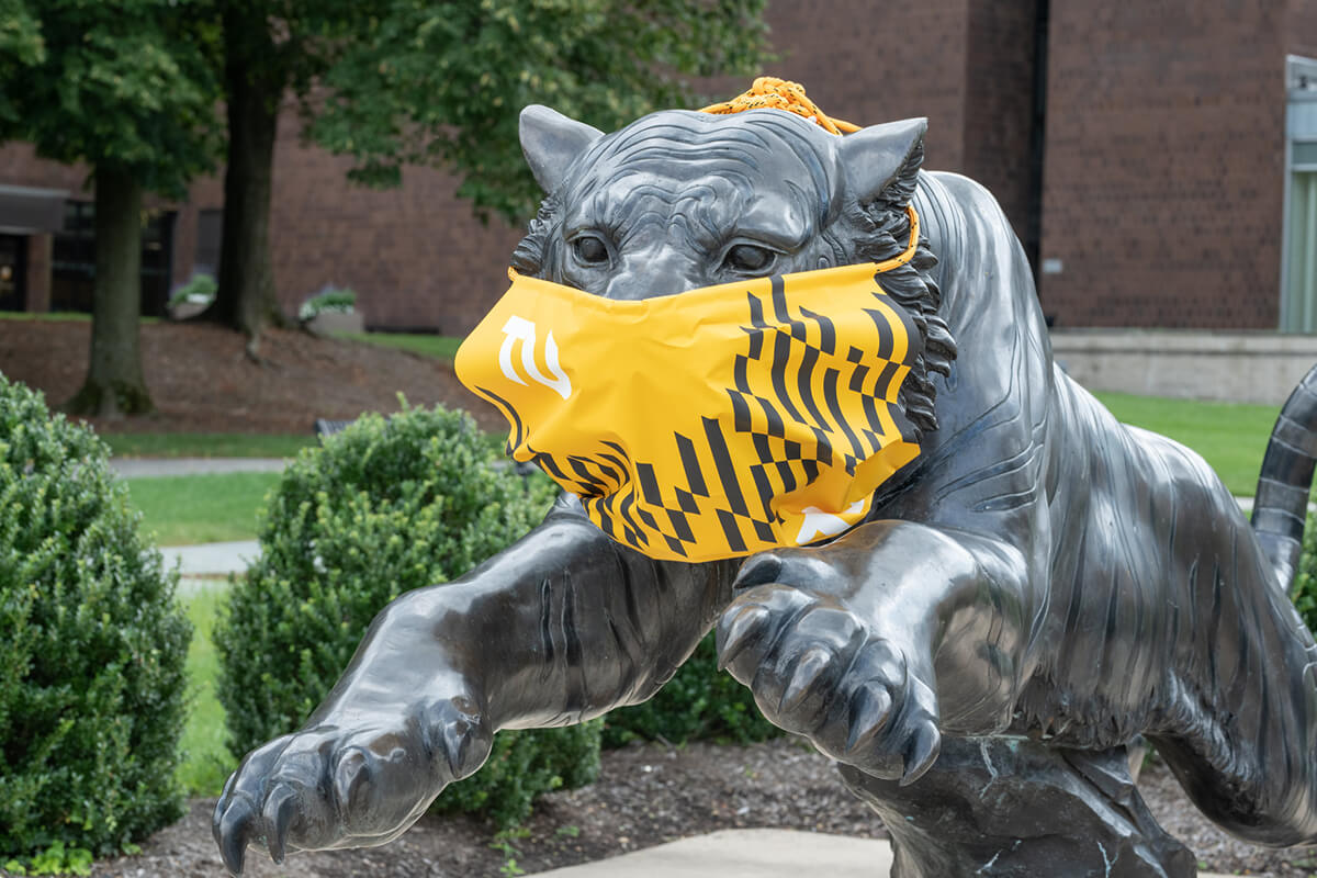 colleges towson_1200