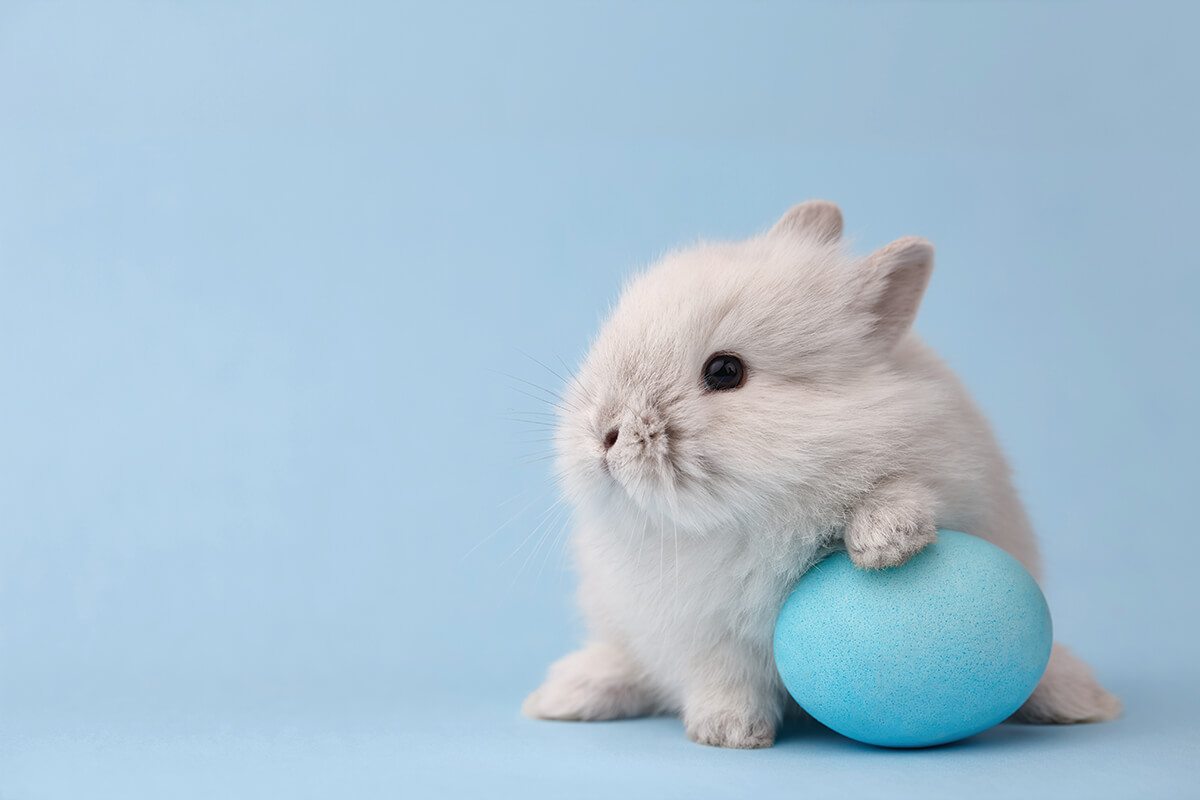shutterstock_1033985728_CMYK