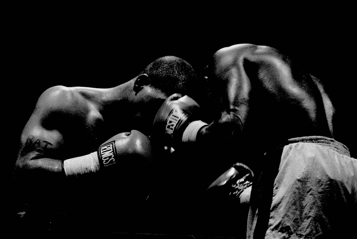 boxersforweston