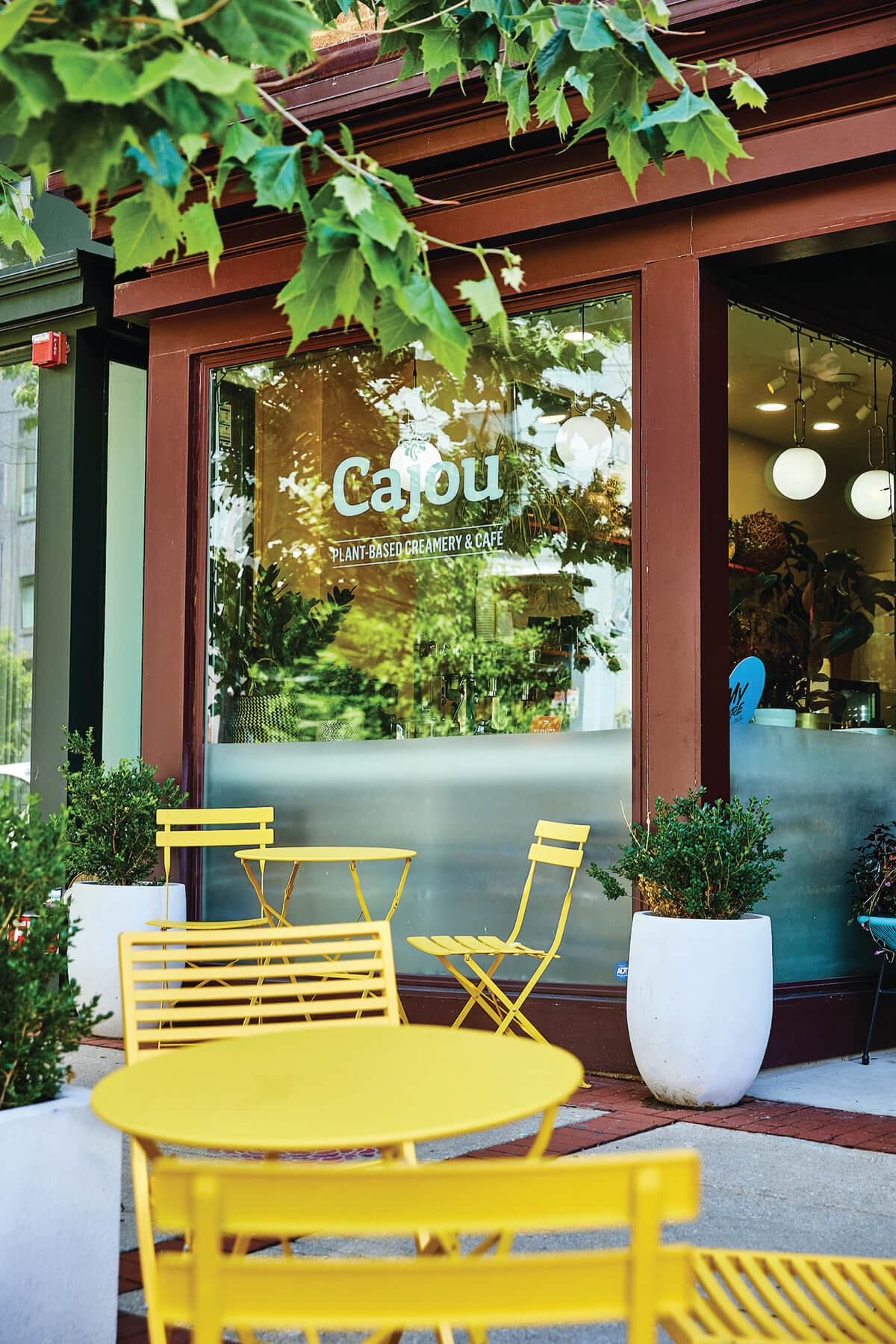Cajou Creamery_Ice Cream Mini Feature_2022-06-09_TSUCALAS_0R9A9123_CMYK