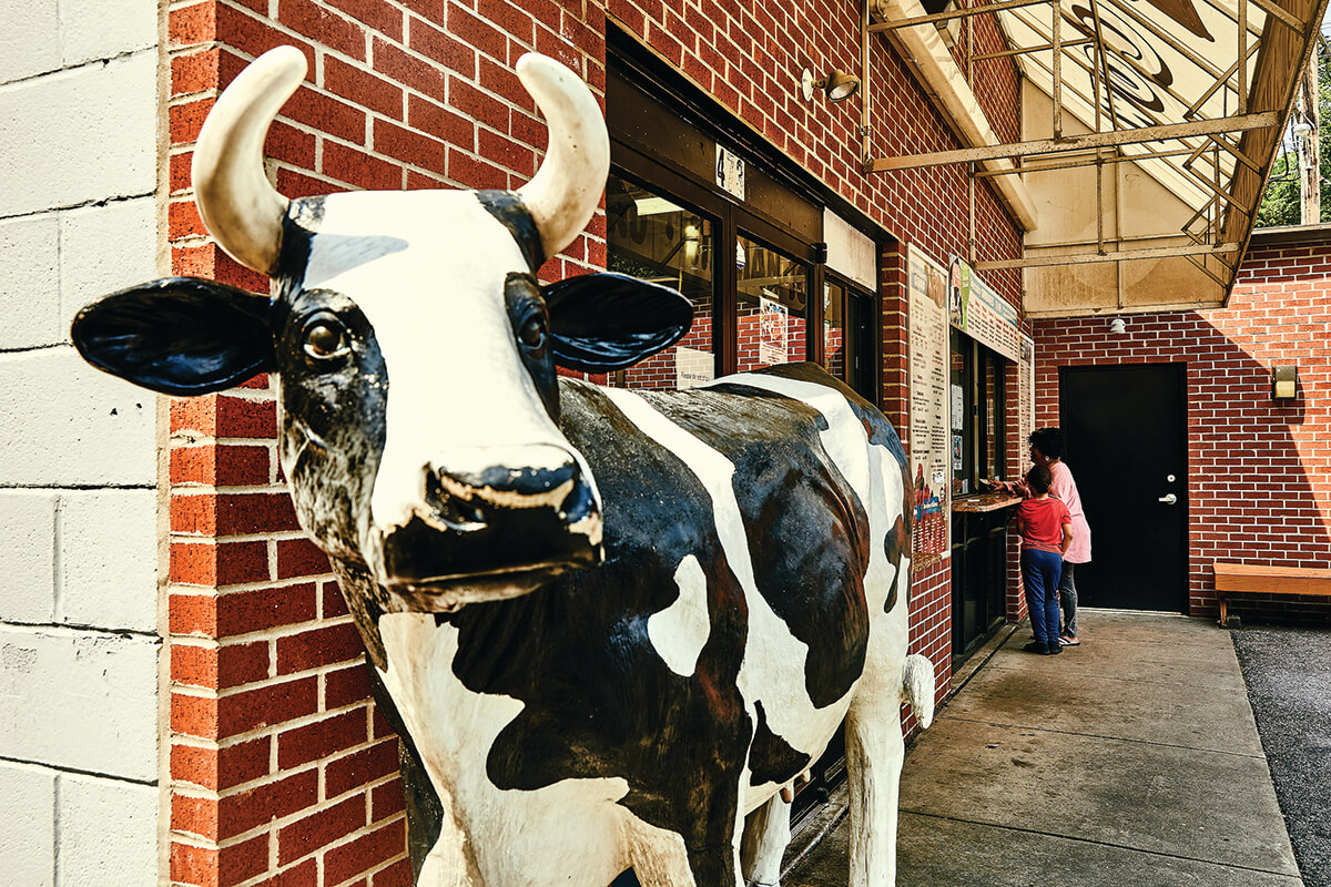 The Cow_Ice Cream Mini Feature_2022-06-01_TSUCALAS_0R9A7834_CMYK