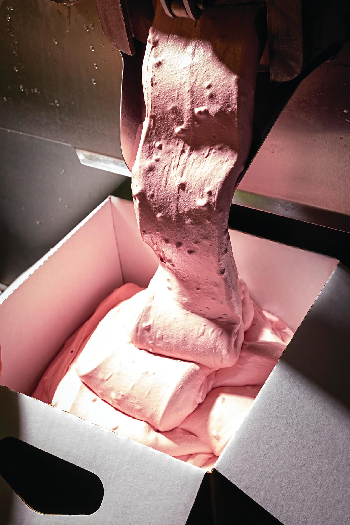 BROOMSBLOOMDAIRY_0207_CMYK