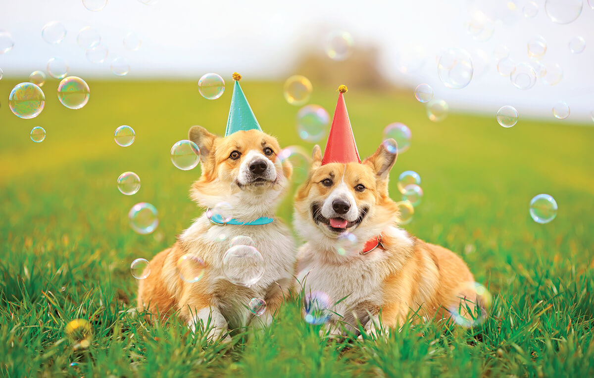 shutterstock_1720351255_CMYK