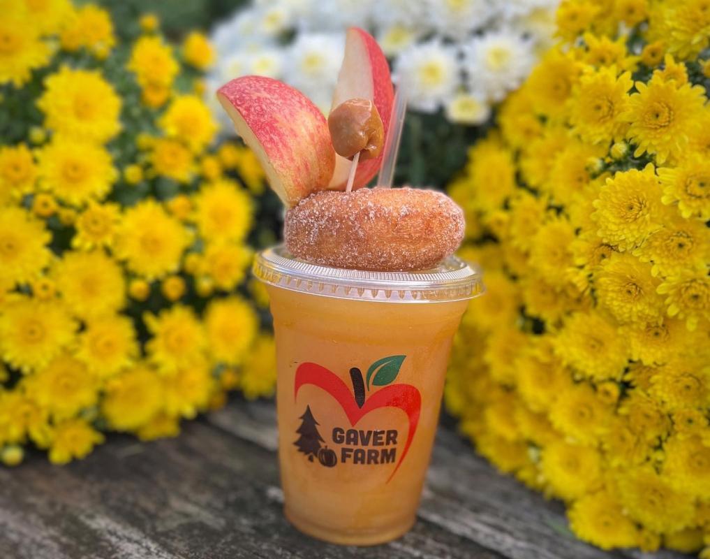 The Best Apple Cider Destinations Around Baltimore