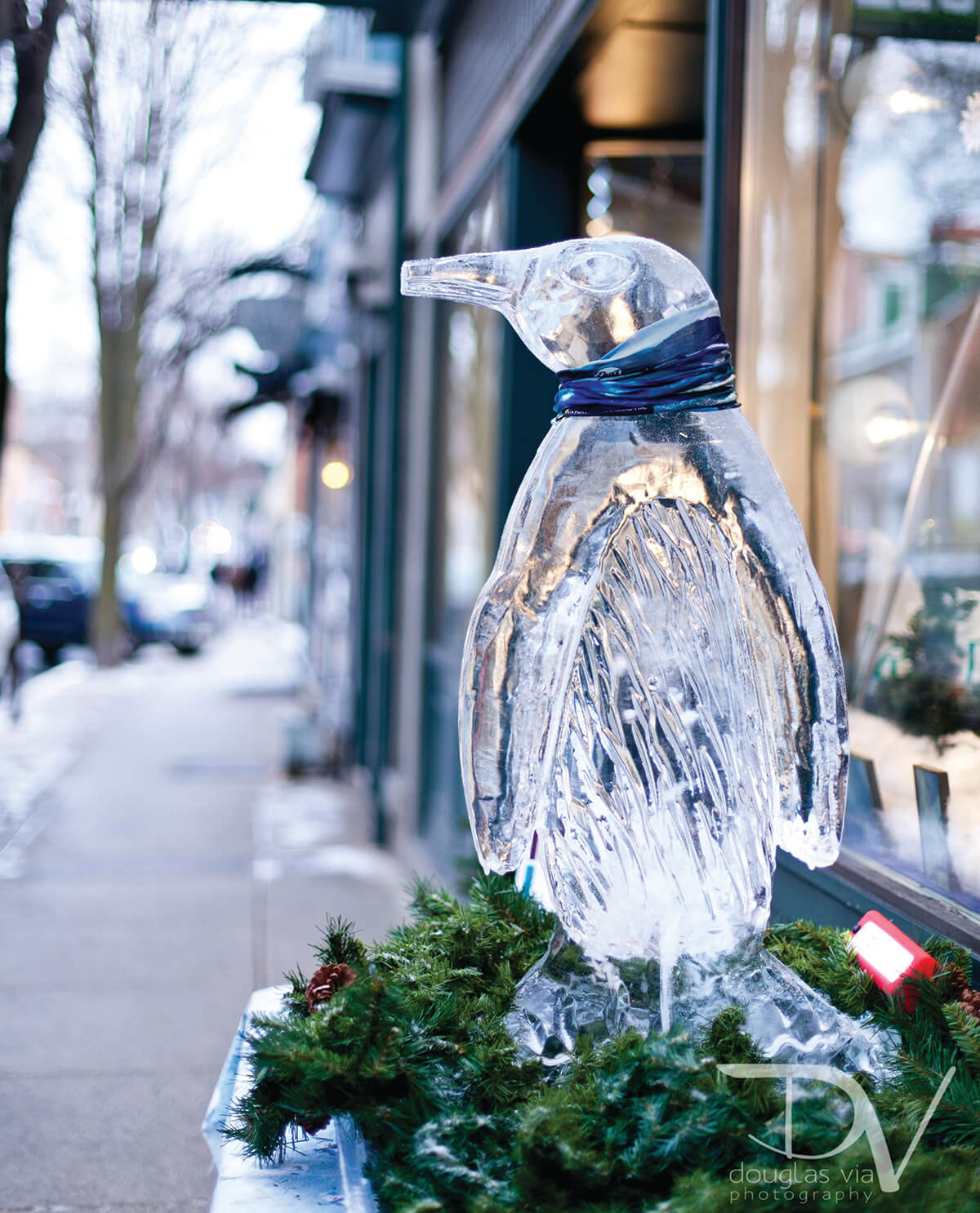 Ice Sculpture - photo by Douglas Via_CMYK
