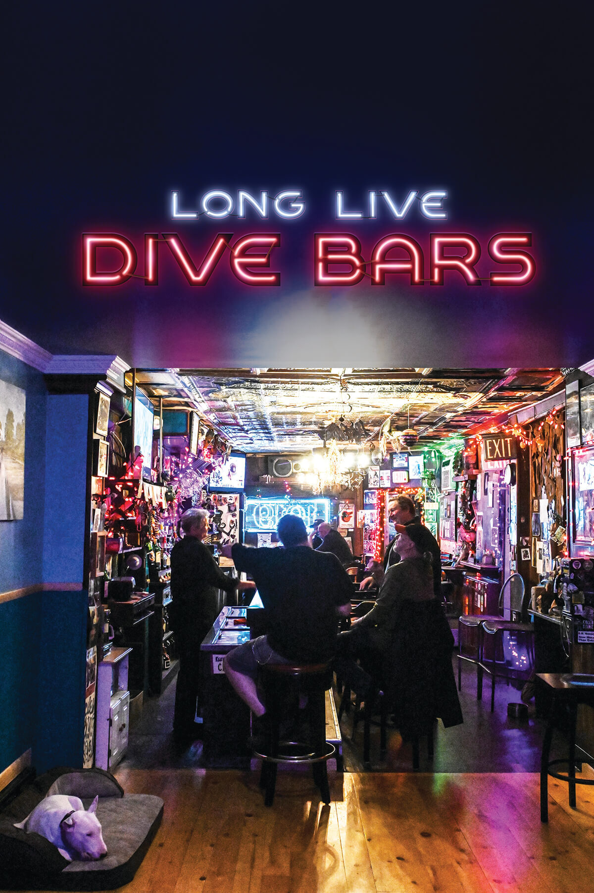 Denver Dive Bar