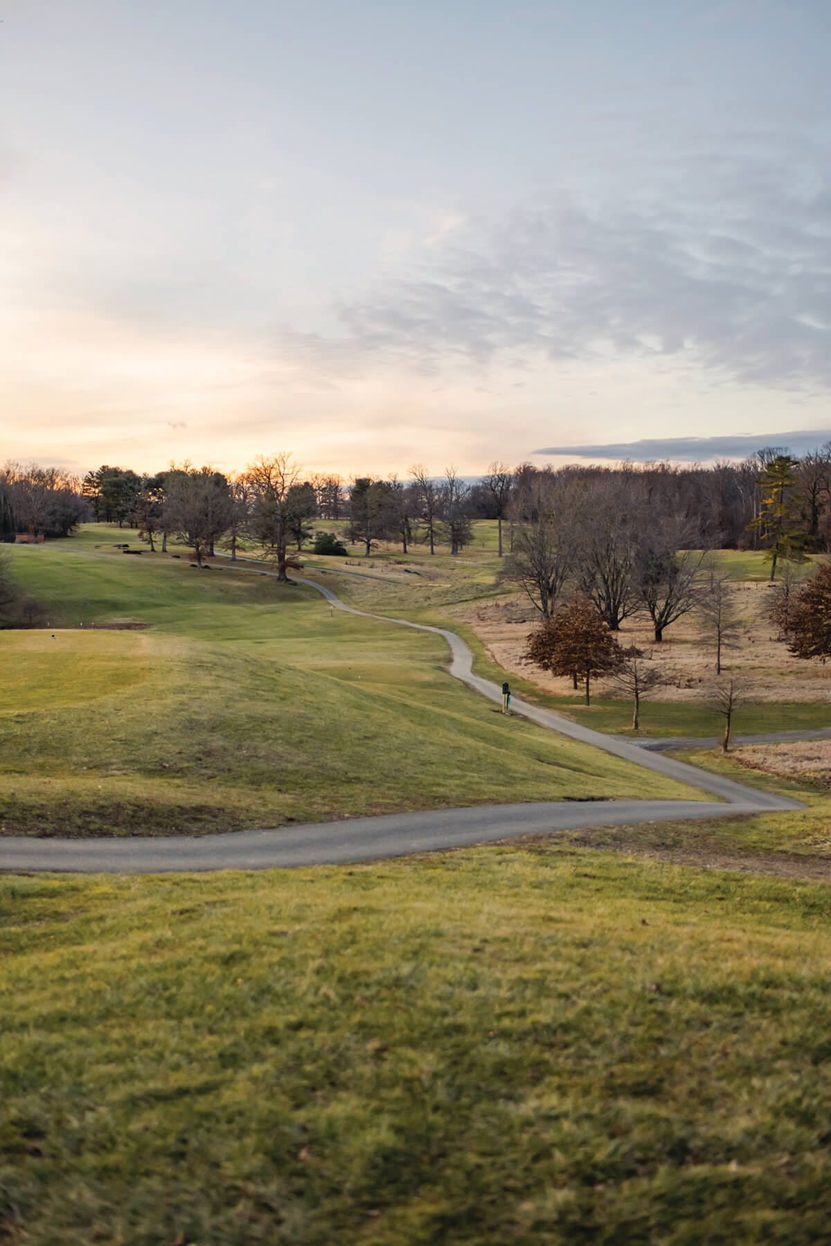Howard-Park-Balt-Home23-3313_CMYK