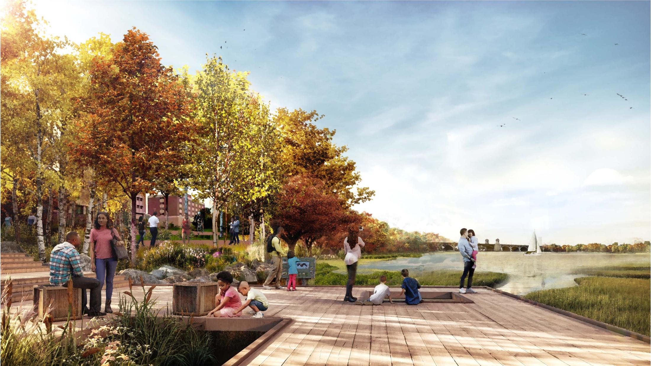 MBRI Wetlands and Future Outdoor Classroom at Harbor Hospital (1)