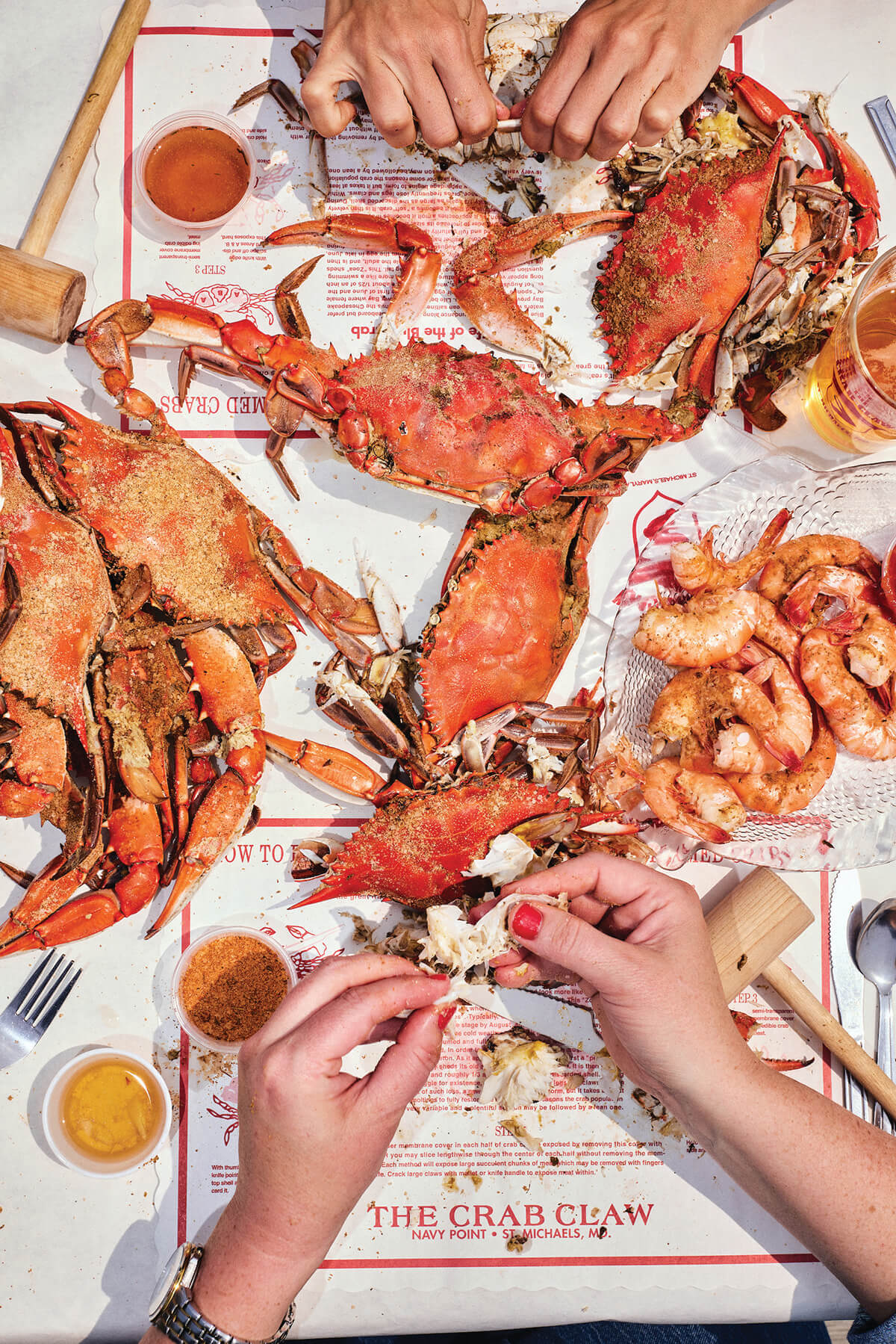 The Ultimate Maryland Crab Crawl: Six Guided Quests for All Things